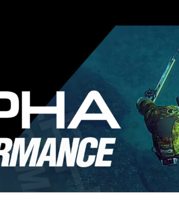 Gestione ordine e tracking Alpha Wetsuits